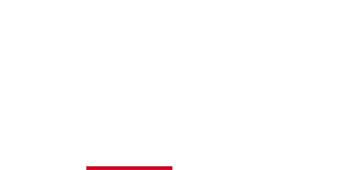 Los Modelos de Éxito KW